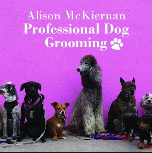 Alison Mckiernan Professional Dog Grooming Cobh listing image