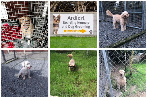 Ardfert Boarding Kennels and Cattery listing image