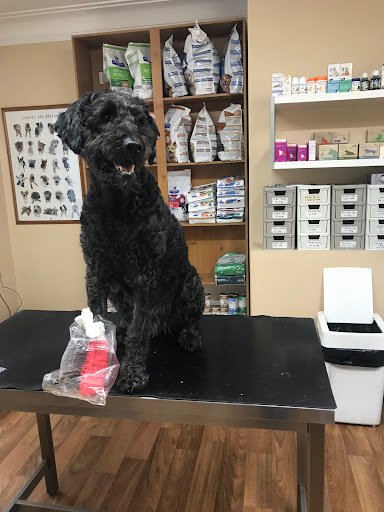 Ballina Veterinary Clinic listing image