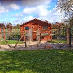 Ballyorban Boarding Kennels listing image