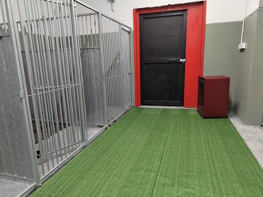Barronsland Kennels & Cattery Doggie Daycare - Bennettsbridge listing image