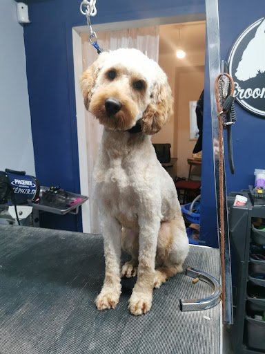 Bec's Dog Grooming listing image