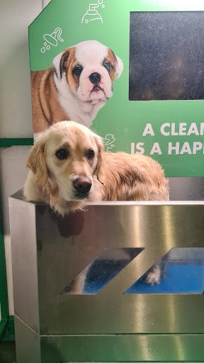 Bubbles Dog Wash - Portarlington listing image