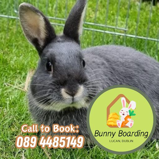 Bunny Boarding Retreat listing image