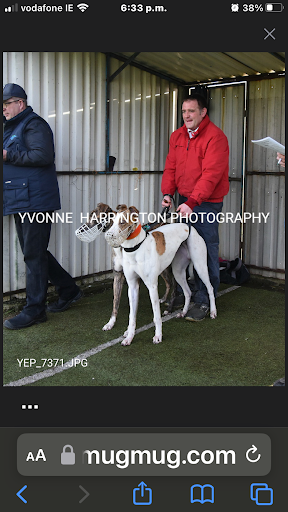 Caher Kennels listing image