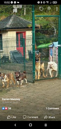 Cec Doggy Day Care listing image