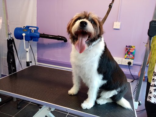 Clip & Dip Pet Salon listing image