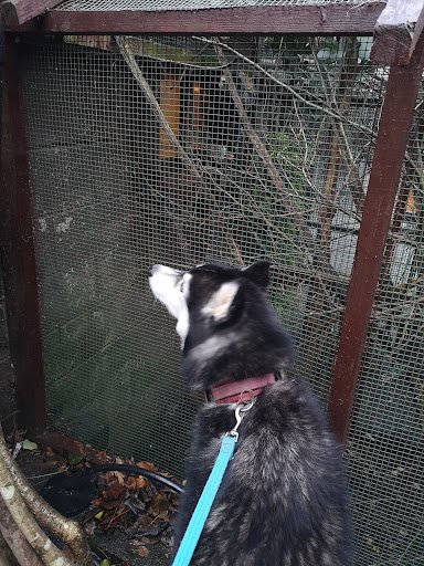 Copsewood Aviaries listing image