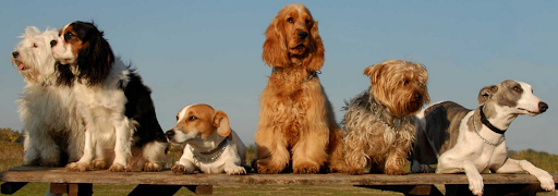 Cottage Kennels listing image