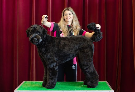 Cute Cutz Dog Grooming and Stylist listing image