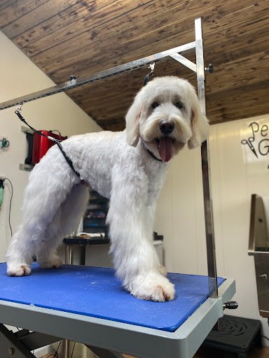 Daga Grooming Salon listing image
