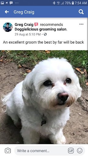 Doggielicious Grooming Salon listing image