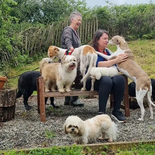 Doonane Dog Grooming & Boarding Kennels listing image