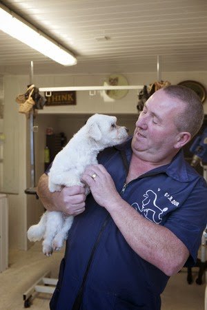 Dusty's Dog Grooming listing image