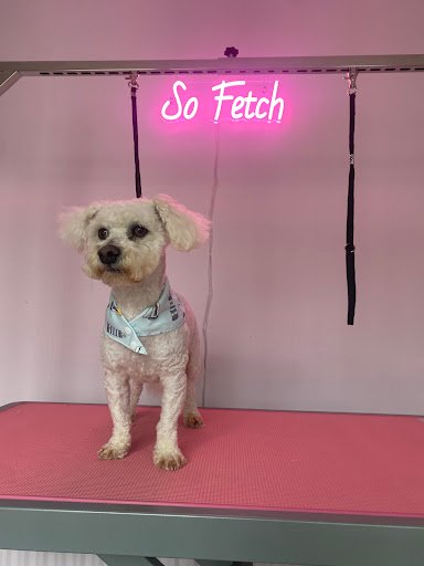 Fetching Dog Grooming listing image