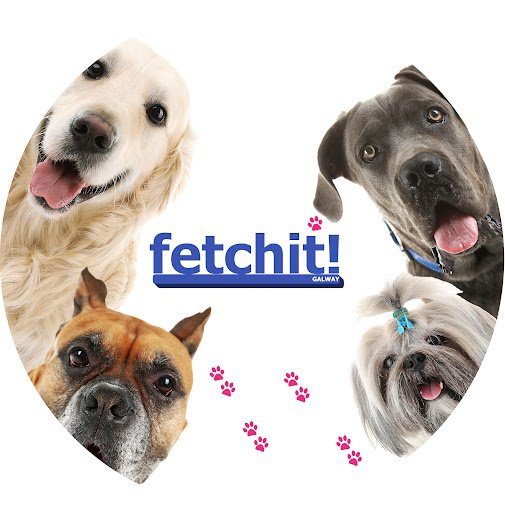 Fetchit! listing image