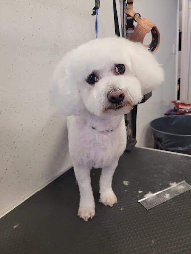 Fitzsimons Grooming Parlour listing image