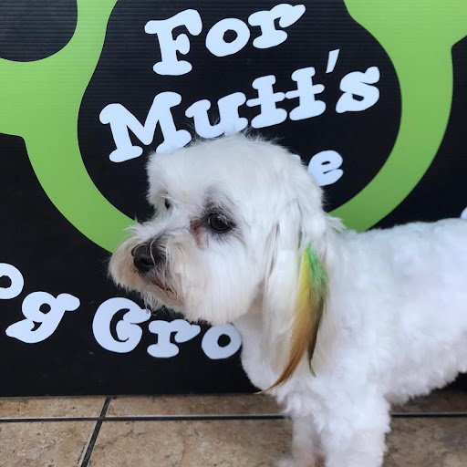 For Mutt's Sake Dog Grooming listing image