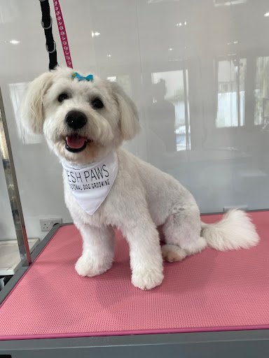 Fresh Paws Dog Grooming listing image