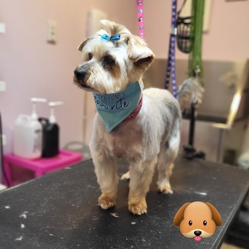 Glamour Dog Grooming Salon listing image