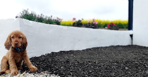 Glenbradagh Farm Boarding Kennels listing image