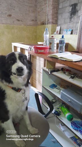 Greenway Grooming for Dogs listing image