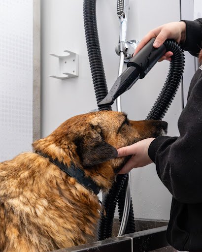 Groom 'n Go Self-service Dog Wash - Nenagh listing image