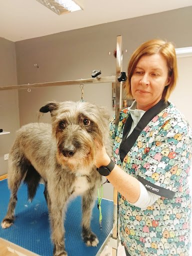 Groomer Has It - Diane Dolan listing image