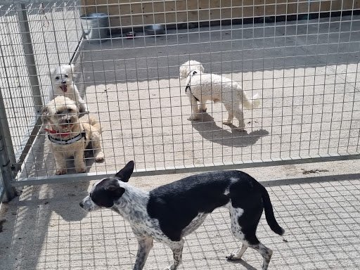 Happy Tails Boarding Kennels listing image
