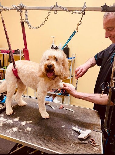 Jessie’s Dog Grooming listing image