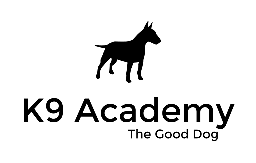K9 Academy listing image