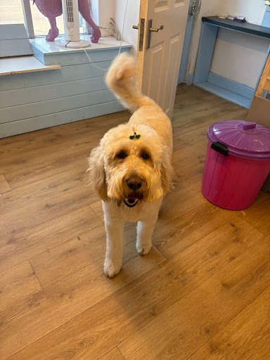 Keira's Grooming Boutique listing image