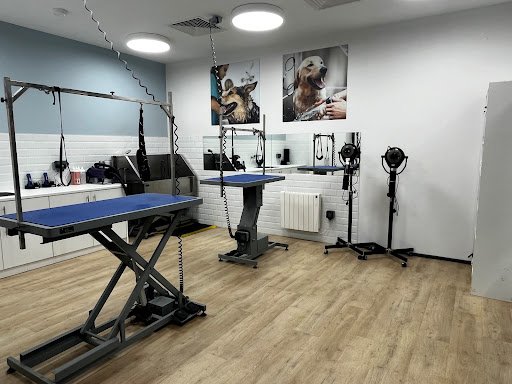 Maxi Zoo Salon Finglas listing image