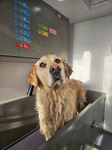 Milos Dog Wash listing image
