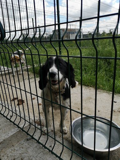 Mucky Paws Boarding & Grooming listing image