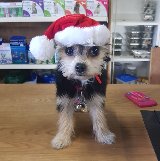 Mutz Nutz - Tallaght Pet Shop listing image