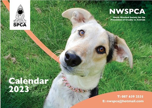 North Wexford Spca listing image