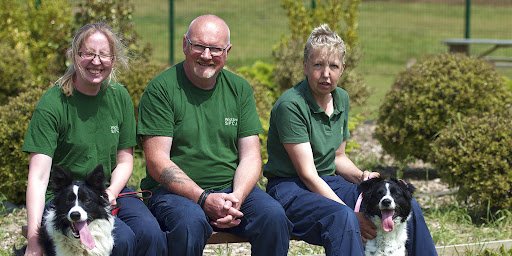 Nspca Wicklow listing image