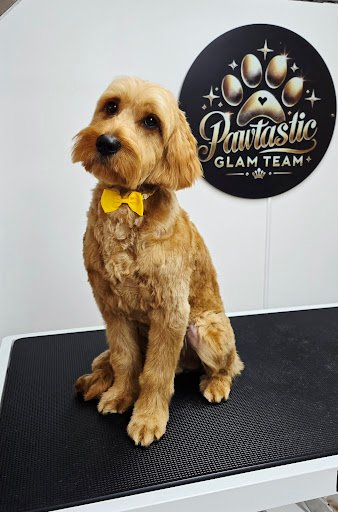 Pawtastic Glam Team listing image