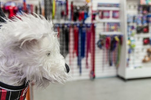 Pet Necessities Pet Supply Shop Waterford listing image