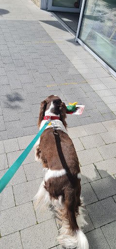 Petstop - Galway listing image