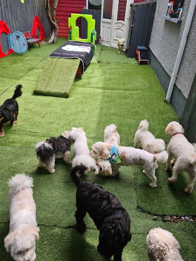 Posh Paws Luxury Kennels listing image