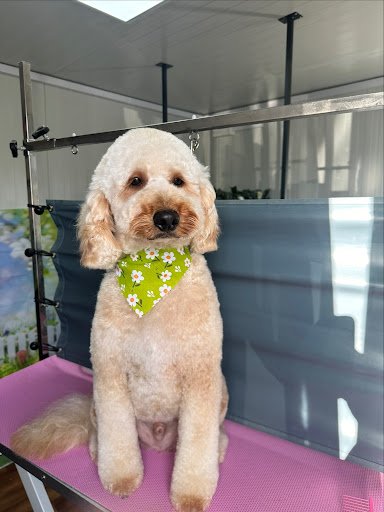 Prestige Grooming listing image