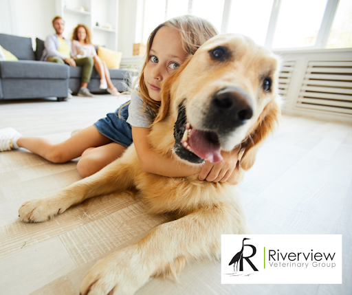 Riverview Veterinary Group listing image