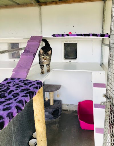 Rose’s Cat Hotel listing image