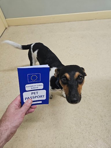 Shenick Veterinary Centre - Skerries listing image