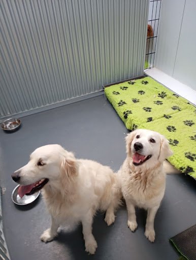 Sniff & Stay Boarding Kennels listing image
