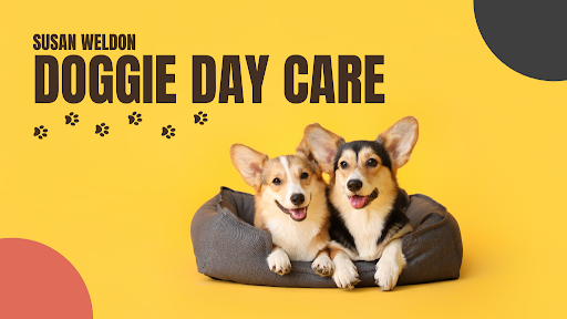 Susan Weldon - Dog Day Care listing image