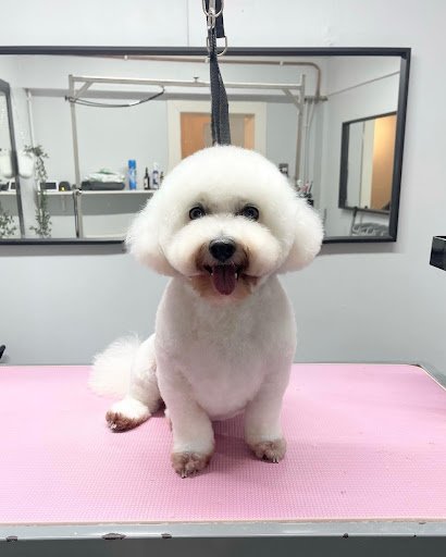 The Barking Boutique listing image