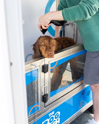 The Dog Wash - Ashbourne listing image
